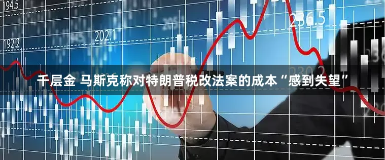 千层金 马斯克称对特朗普税改法案的成本“感到失望”