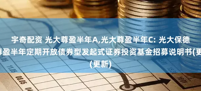 宇奇配资 光大尊盈半年A,光大尊盈半年C: 光大保德信尊盈半年定期开放债券型发起式证券投资基金招募说明书(更新)