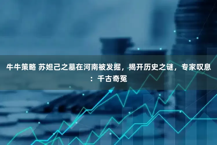 牛牛策略 苏妲己之墓在河南被发掘，揭开历史之谜，专家叹息：千古奇冤